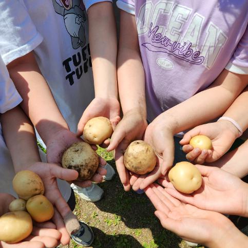 고창초 체험학습장-교육감님 방문
