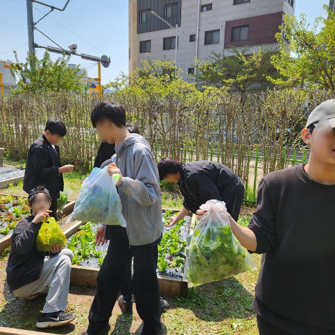 고창생태숲-텃밭체험
