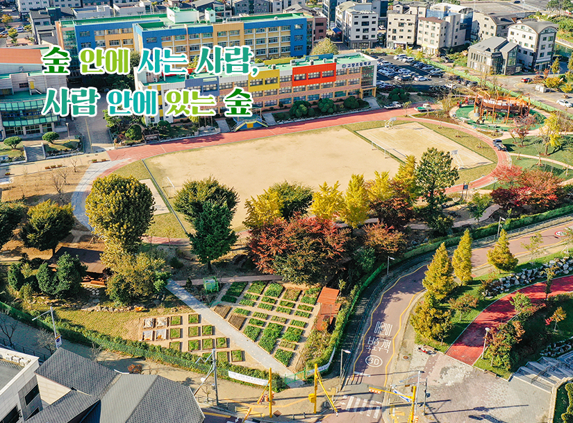 숲 안에 사는 사람, 사람 안에 있는 숲